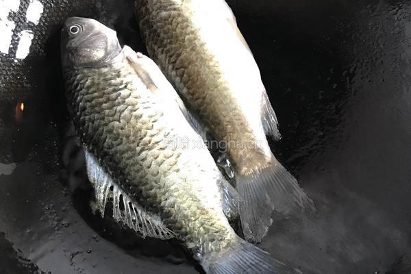 香煎鲫鱼的做法图解2