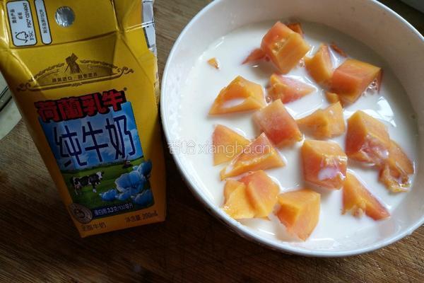 木瓜炖牛奶的做法图解4