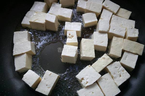 鲶鱼烧豆腐的做法图解6