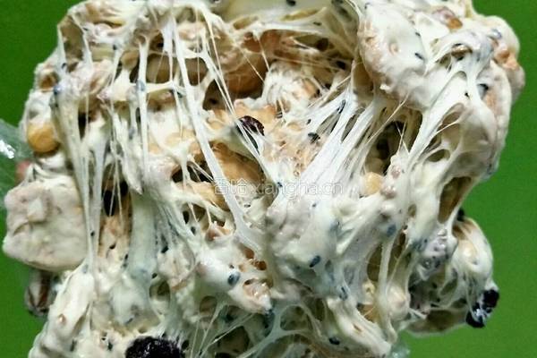 雪花酥的做法图解7