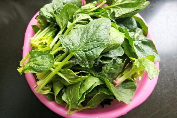 凉拌菠菜的做法图解2