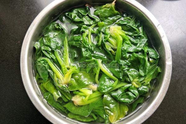 凉拌菠菜的做法图解7