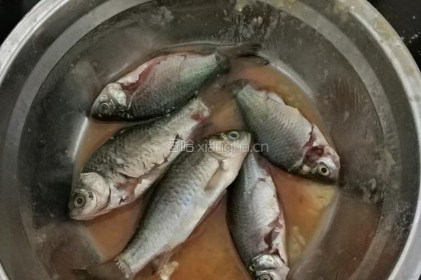 油炸鲫鱼的做法图解1
