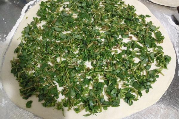 马齿苋大饼馍（蒸馍版）的做法图解5