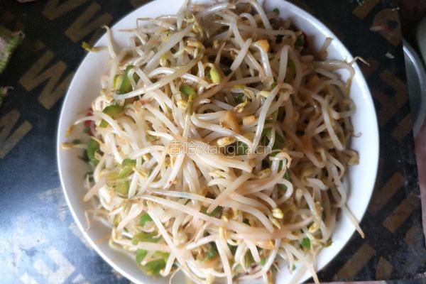 青椒绿豆芽