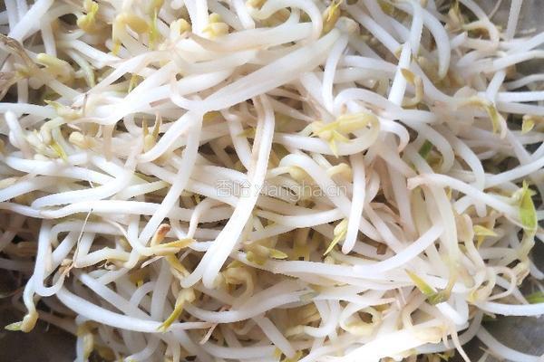 青椒绿豆芽的做法图解2