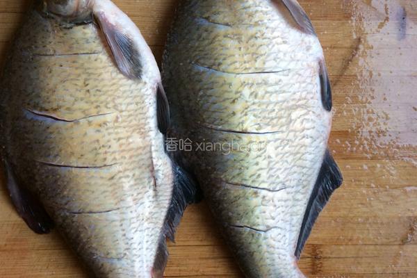 香煎鲂鱼的做法图解2