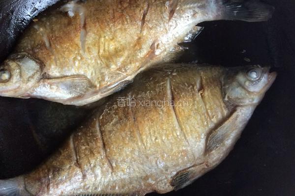 香煎鲂鱼的做法图解4