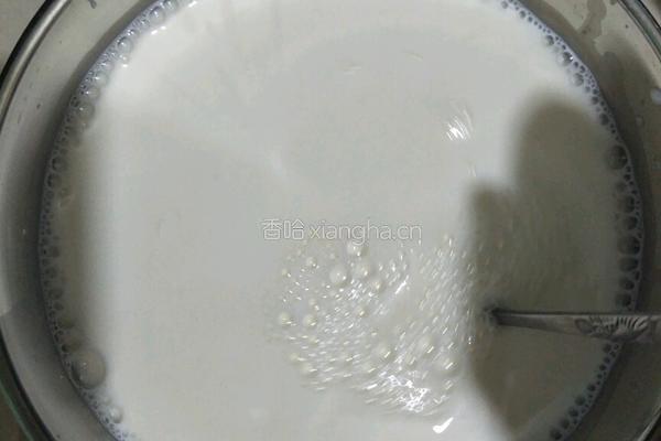 酸奶的做法图解4