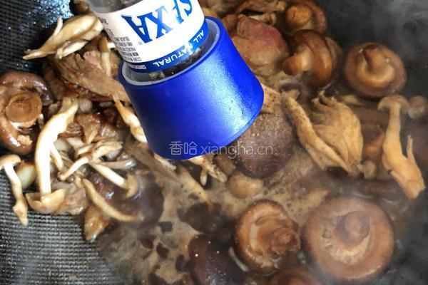 双菇烩鸭的做法图解12