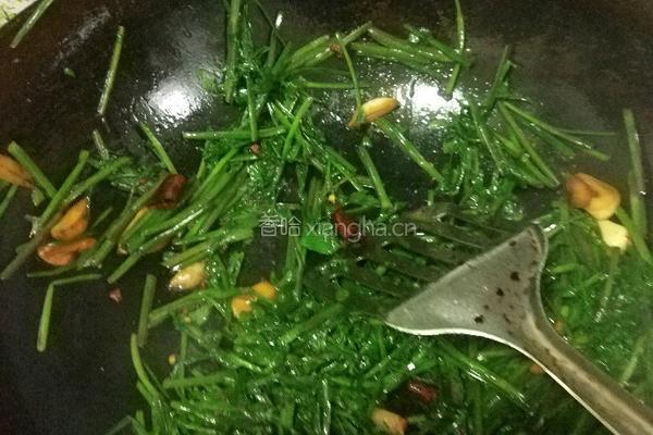 素炒水芹菜的做法图解6