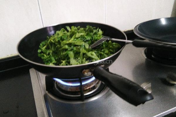 辣炒茼蒿菜的做法图解3