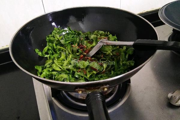 辣炒茼蒿菜的做法图解4