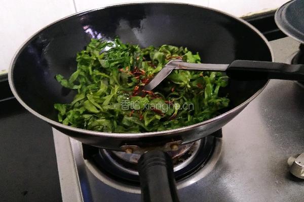 辣炒茼蒿菜的做法图解5