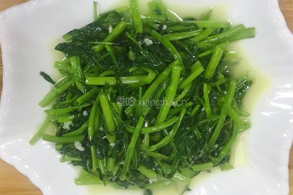 爆炒空心菜的做法图解4