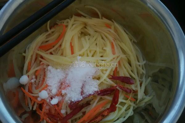 凉拌土豆丝的做法图解6