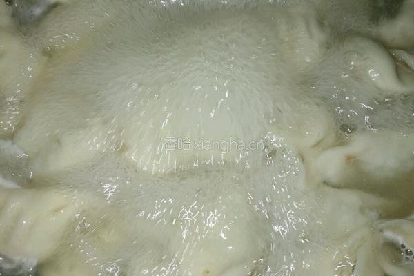 洋槐花饺子的做法图解8