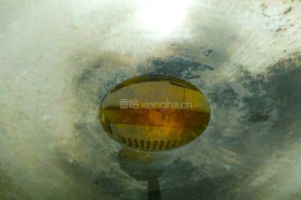 番茄胡萝卜玉米风干排骨汤（电饭煲版）的做法图解9