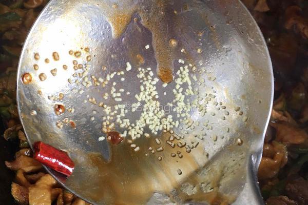 萝卜干烧红烧肉的做法图解13
