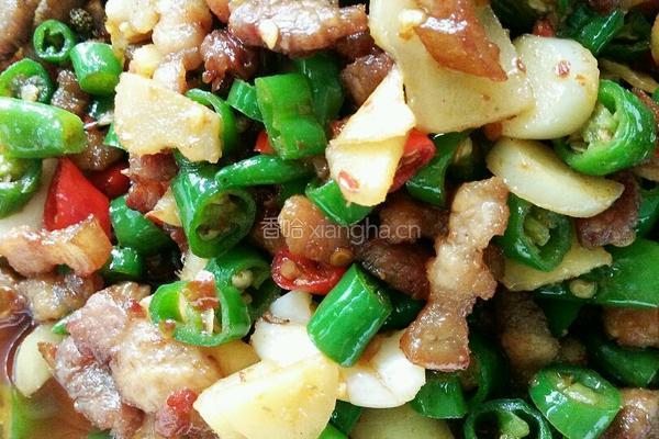小煎五花肉的做法图解7