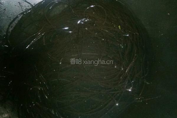 酸辣蕨根粉的做法图解1