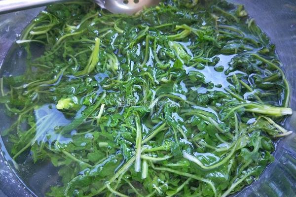 荠菜猪肉馄饨的做法图解5