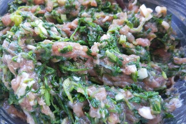 荠菜猪肉馄饨的做法图解7