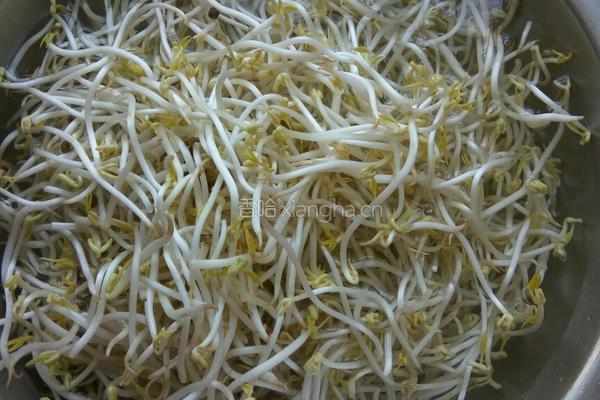 豆芽肉丝焖饼的做法图解1