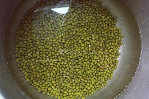 绿豆沙西米露的做法图解1