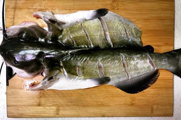 豆花烤鱼——这是一道压轴菜的做法图解10