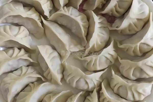 饺子的做法图解4