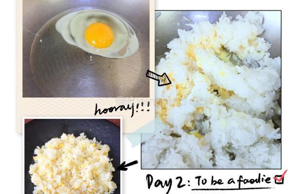 滑蛋虾仁饭的做法图解5