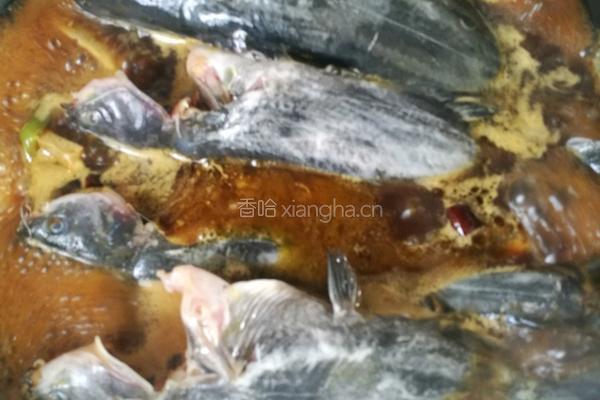 昂刺鱼炖臭干的做法图解7