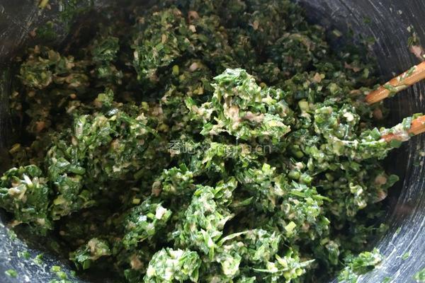韭菜肉馅饺子（花边饺）的做法图解6