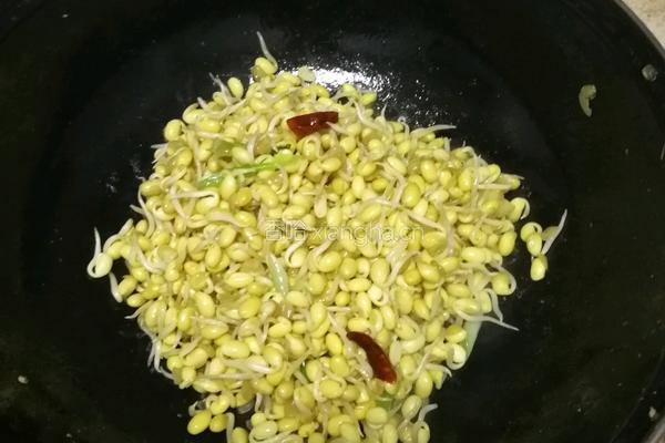 豆芽炒肉丝的做法图解6