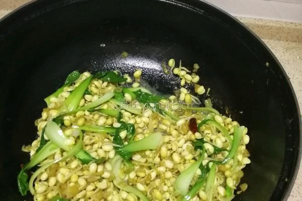 豆芽炒肉丝的做法图解8