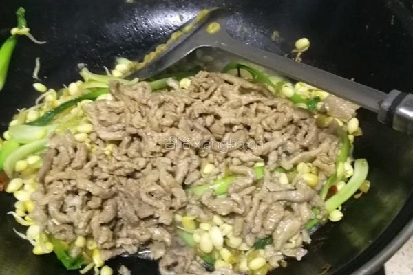 豆芽炒肉丝的做法图解9