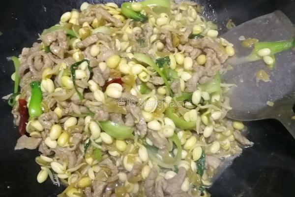 豆芽炒肉丝的做法图解10