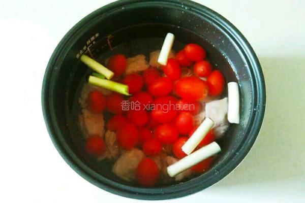 小番茄排骨汤的做法图解13