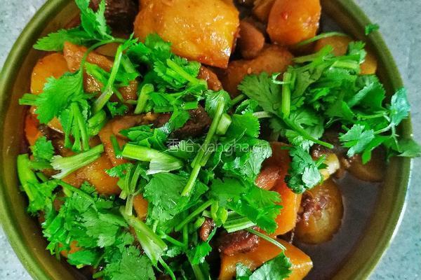 土豆烧牛肉的做法图解8