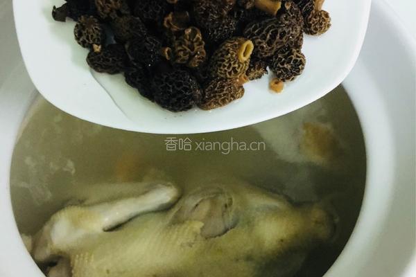 羊肚菌鸡汤的做法图解5