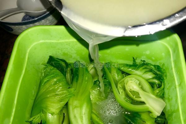 酸菜的做法图解9
