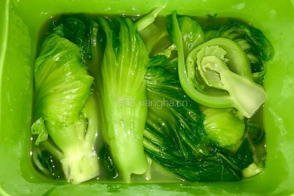 酸菜的做法图解10