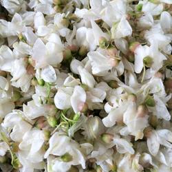 槐花菜的做法[图]