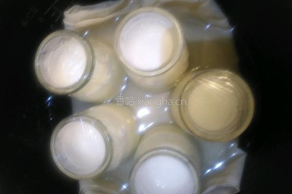 零失败电饭锅酸奶的做法图解5