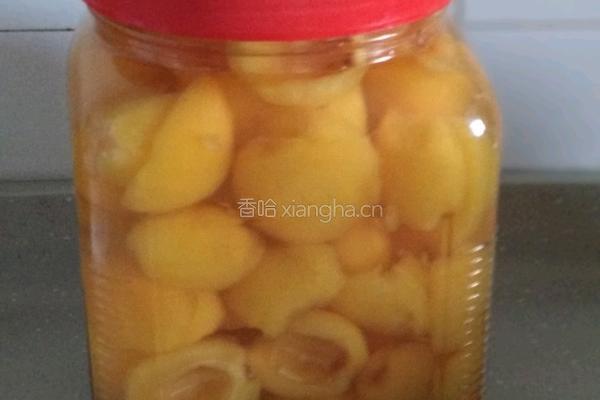 腌制冰糖琵笆的做法图解4