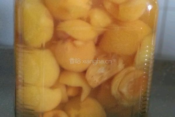 腌制冰糖琵笆的做法图解5