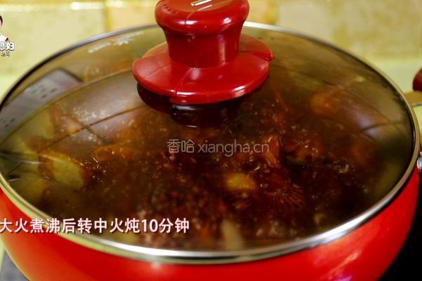 韩式辣白菜炖鸡肉块的做法图解15