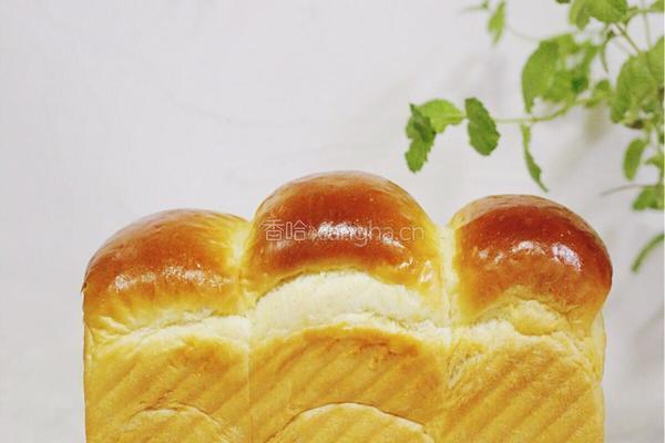 炼乳吐司（中种）的做法图解18