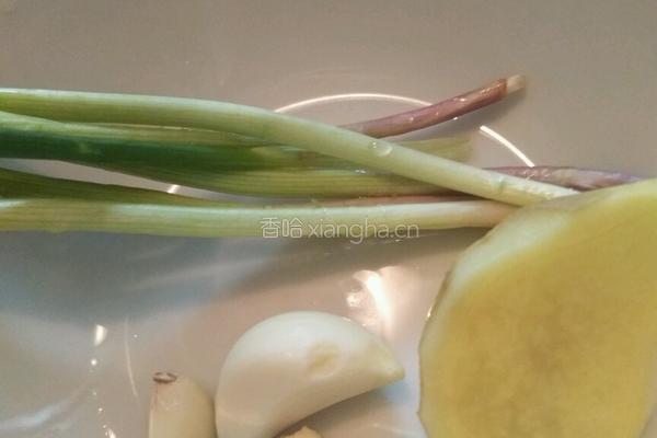 可乐鸡翅的做法图解2